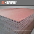 bintangor hardwood plywood